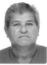 Lino