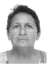 Suzana Bacana