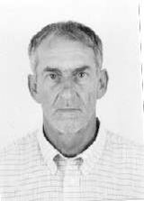 Alcides Emmel