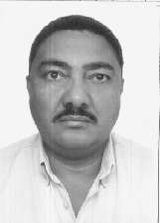 Clovis Martins