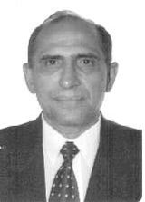 Luiz Malcher