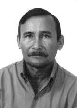 Ivo