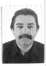Adelson