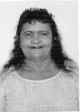 Rosa de Biu Alfredo