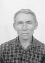 Ferreira de Alcino