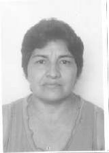 Rosalia
