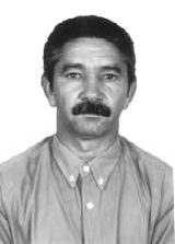 Plinio