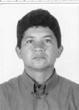 Bodó