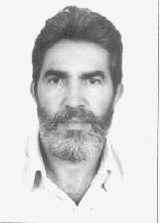 João Pedroso