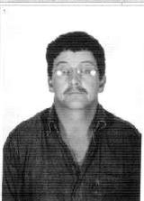 João Bobato do Leilão