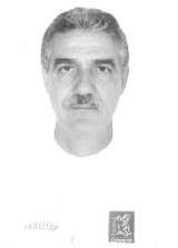 Botarelli