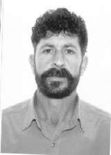 Luiz Bode