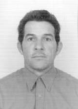 Ivo