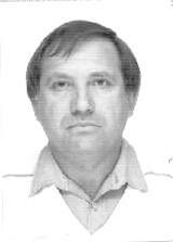 Pinguim Julio Sorveteiro