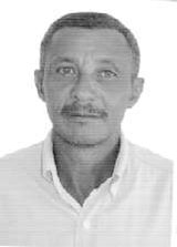 Tomaildes