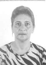 Sueli Amaral