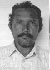 Gó
