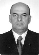 Volnei