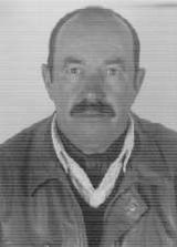 Amigo