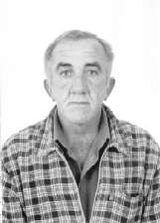 Bolota
