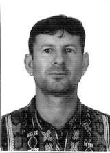Rogerio Jardim Pingo