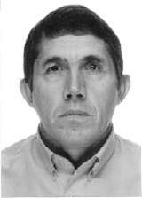 Manoel Lamim