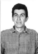 Ciconi