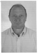 Elsi Luiz Bellei