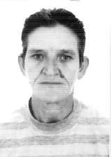 Anita Carroceira