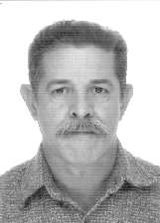 Raul Vilson Vanz