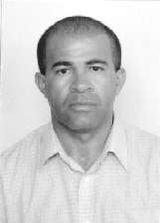 Mamão