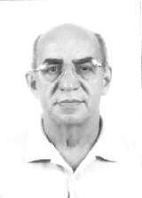 Pedro Ayres