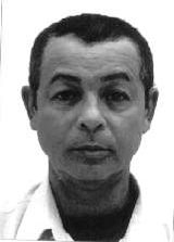 Nô da Bucha
