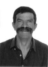 Bigode