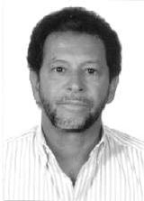 Professor Paulo Silles