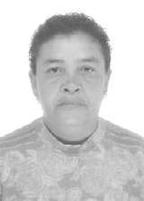 Nilcea