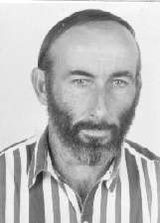 Luiz Capitani