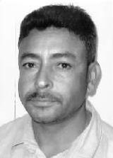 Pinguim Cabelereiro
