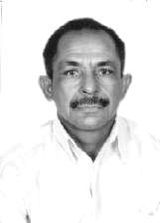 Tererê