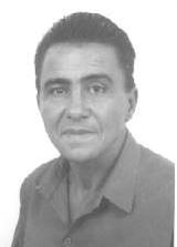 Moretinho da Kombi