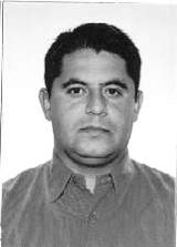 Abelha