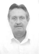 Zé Domingos