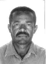 Dadai