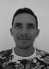 A Pereira