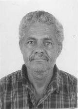 Nelito - Linho