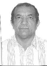 Reizinho
