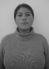 Ligia