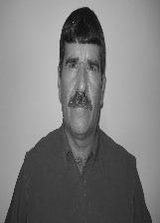 Oliveira Porato