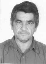 Pedro Gato