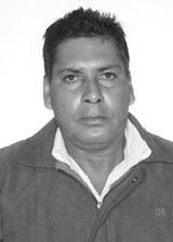 Galo da Gaivotas